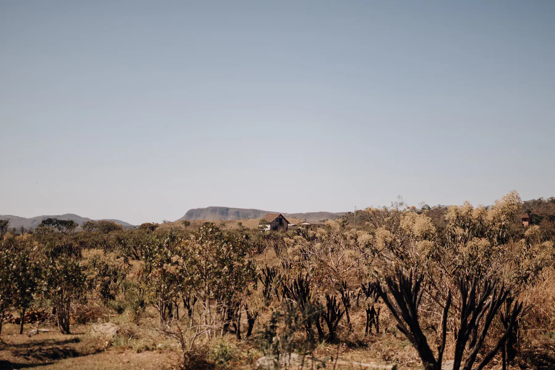 Paisagem do Cerrado na reserva onde acontece o Acenda Mulheres