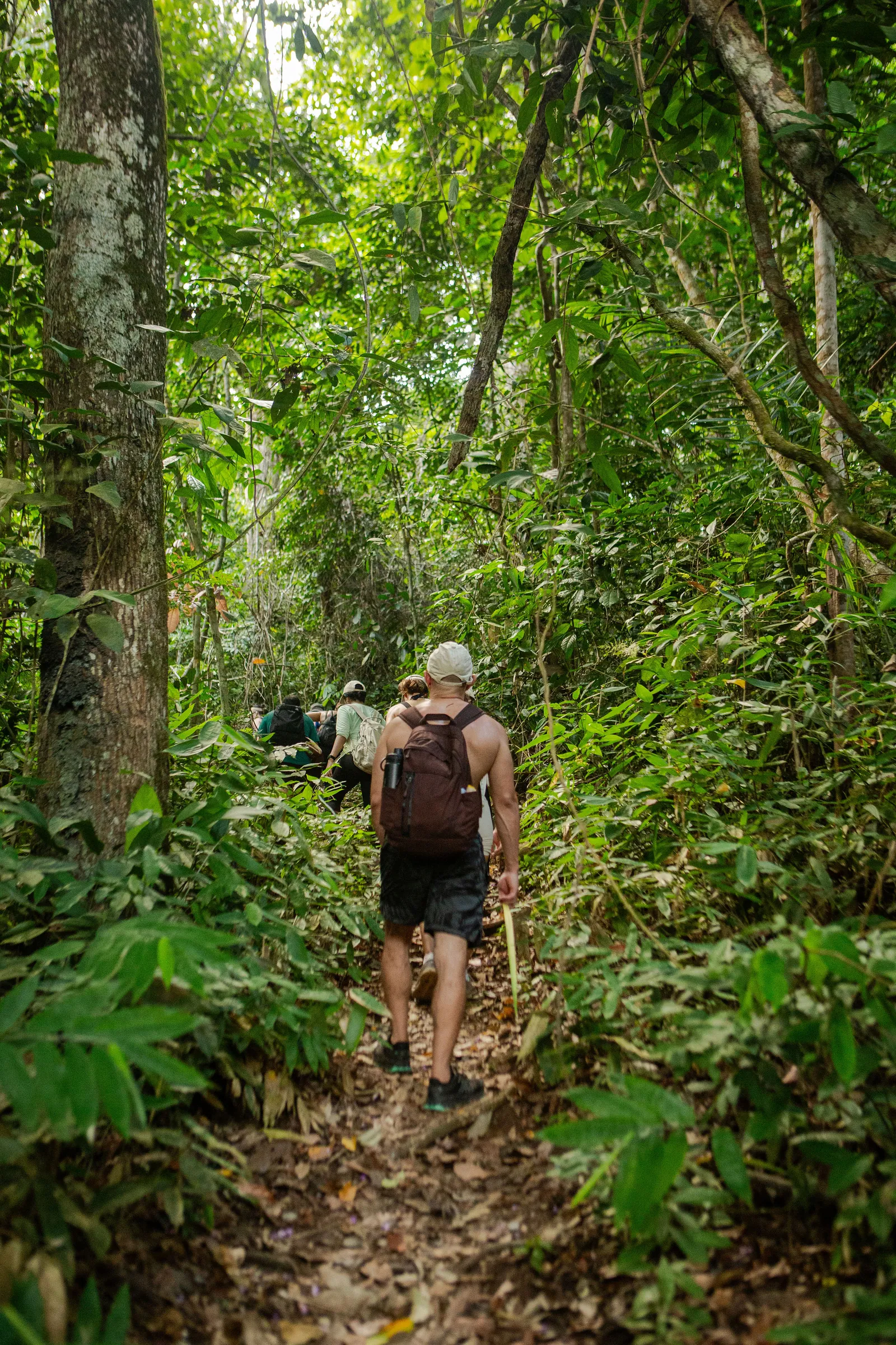 Caminhada por uma trilha na floresta