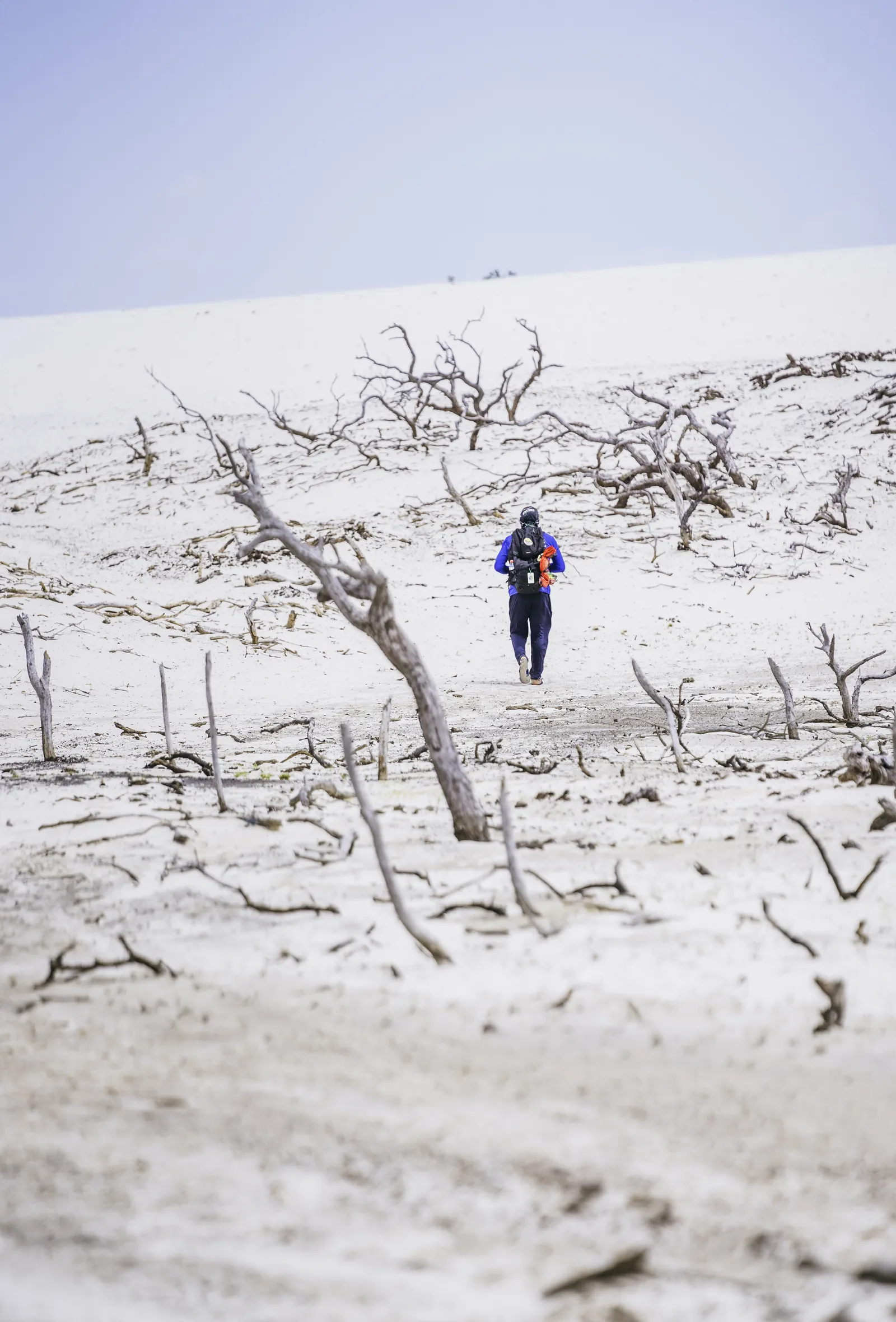 Caminhante entre troncos nas dunas